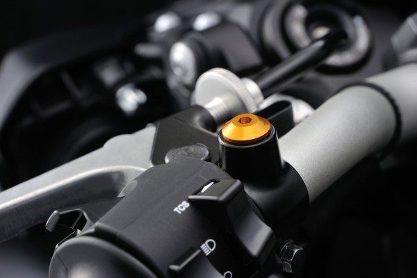 Mirror hole plug bolt CNC gold f. M10 x P1.25 right hand side